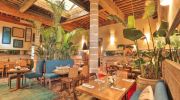 palm restaurant by taros