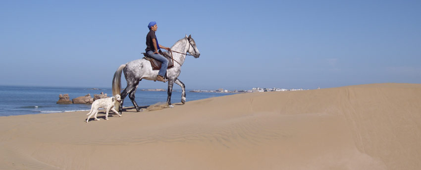 Balade à cheval d'une heure à Essaouira, Maroc - Ranch De Diabat